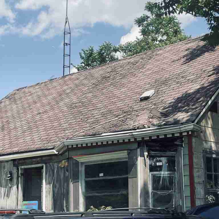 20506 Cardoni (13).jpg